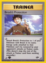 Brock's Protection (101/132)
