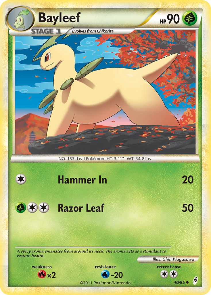 Bayleef (040/95)