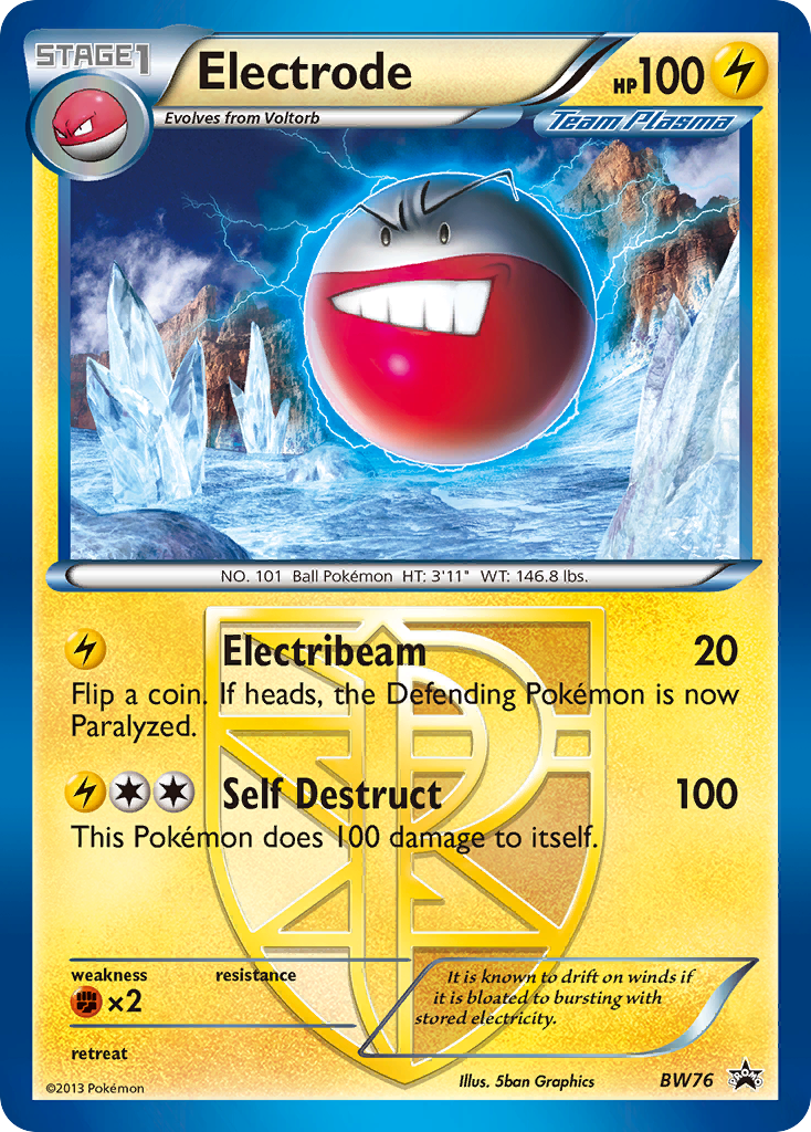 Electrode (BW76/101)