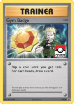 Gym Badge (XY205/211)