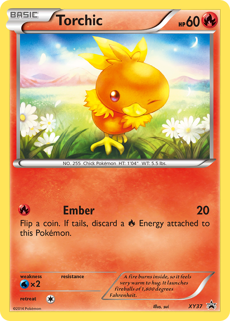 Torchic (XY37/211)