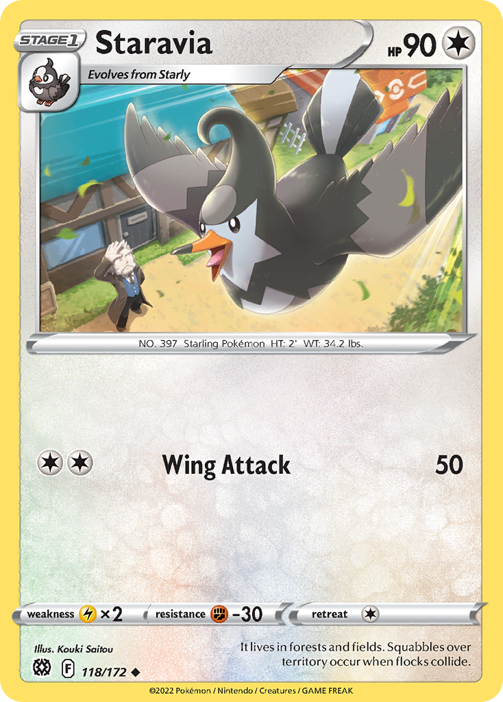 Staravia (118/172)
