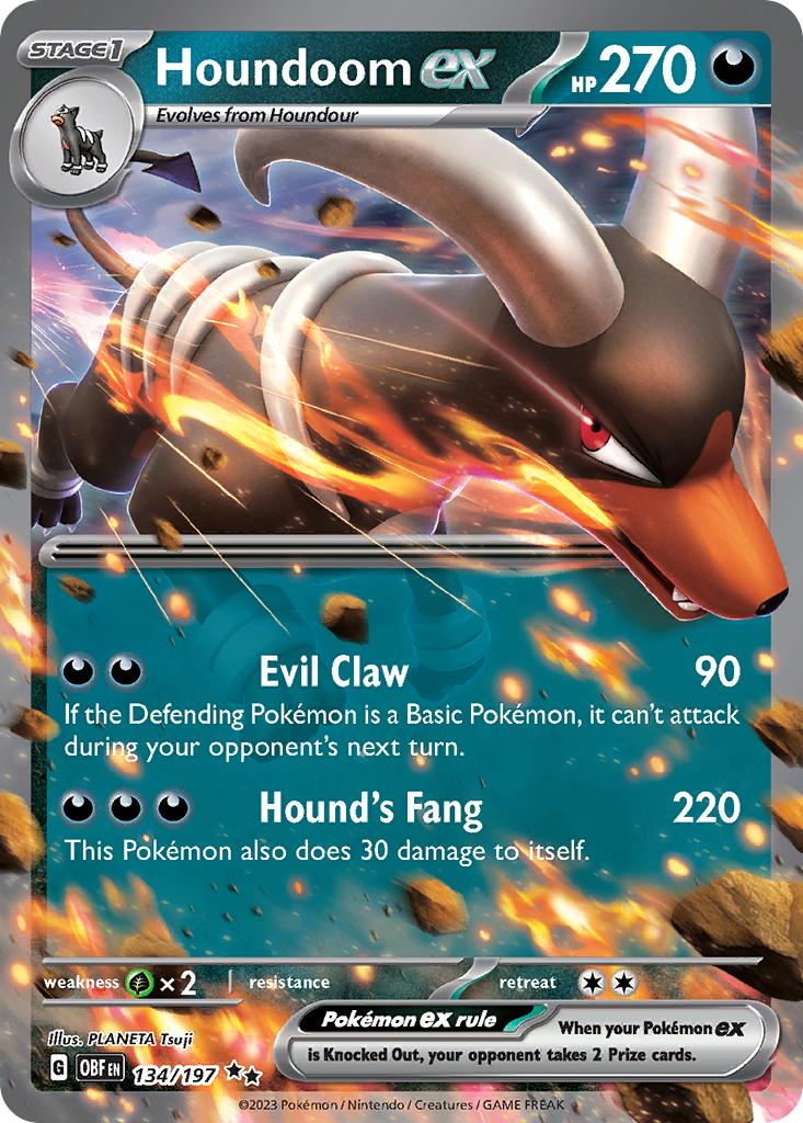 Houndoom ex (134/197)