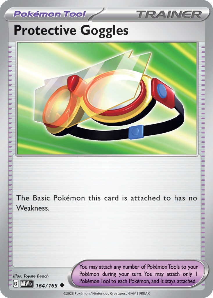 Protective Goggles (164/165)