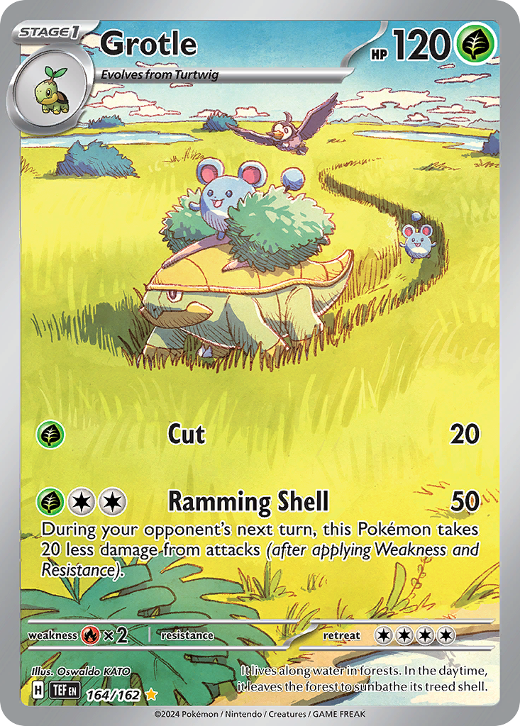 Grotle (164/162)