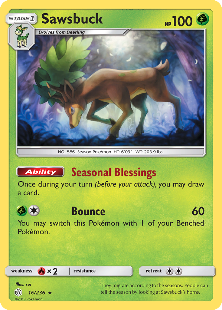 Sawsbuck (016/236)