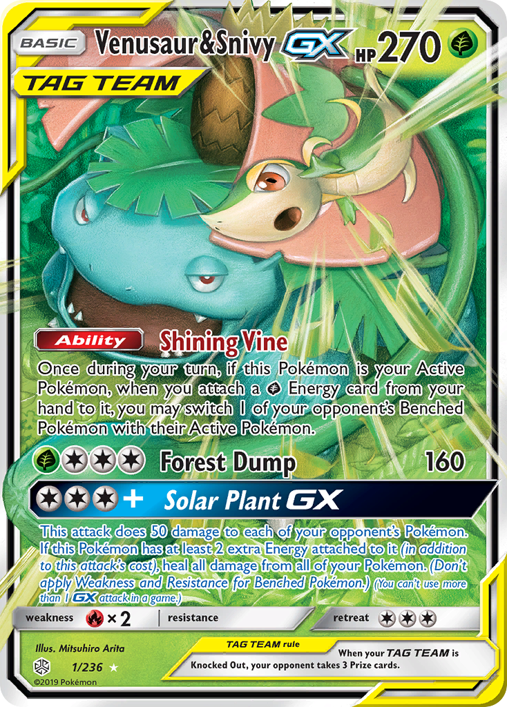 Venusaur & Snivy-GX (001/236)