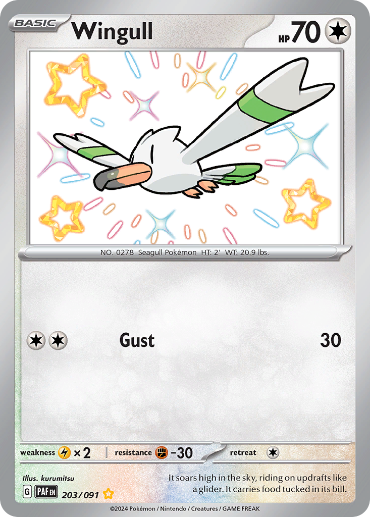 Wingull (203/91)
