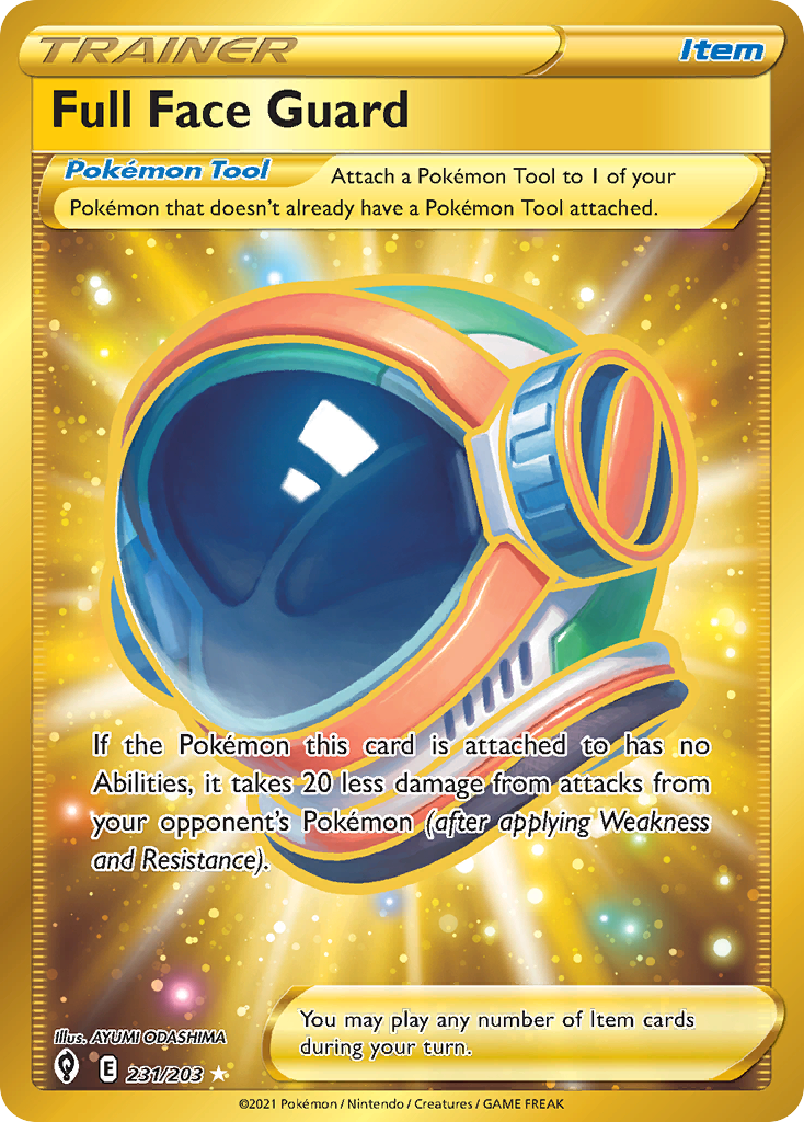 Full Face Guard (231/203)