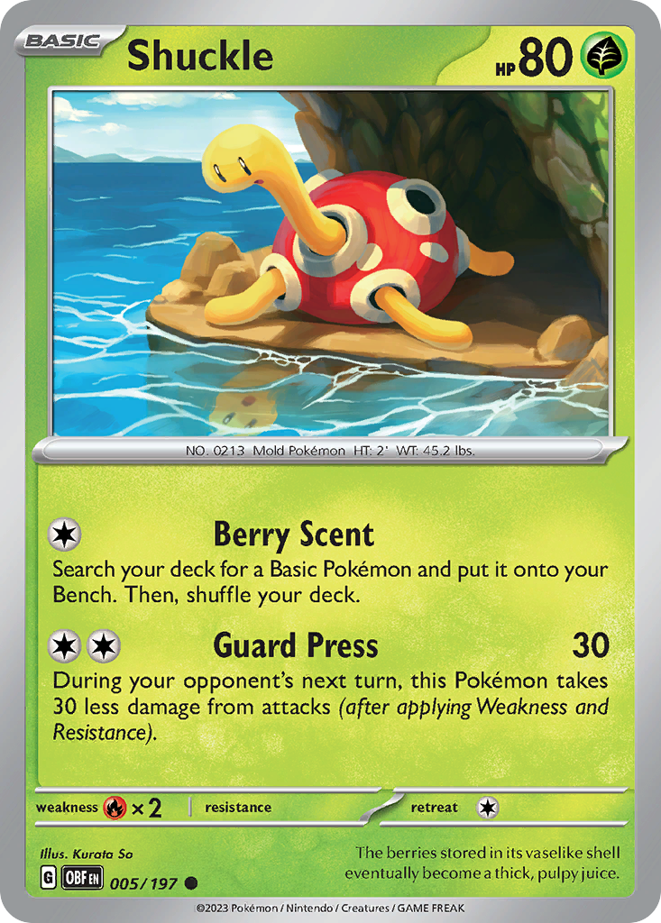 Shuckle (005/197)