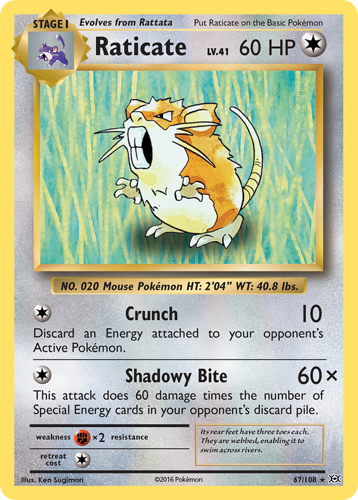 Raticate (067/108)