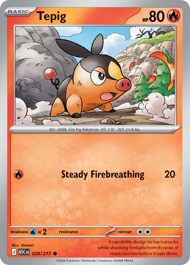 Tepig (029/217)